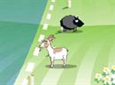 Im einen Spiel werden schwarze Schafe von Zottel am Überschreiten der Grenze gehindert.