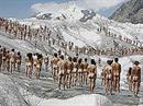 Rund 600 nackte Menschen konnte der Künstler Spencer Tunick für seine Installation vor dem Alletschgletscher gewinnen.