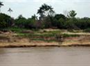 Der Pegel des Rio Negro in Brasilien sinkt auf einen Niedrig-Rekord.