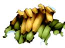 Abstimmungskampf gegen SRG-Gebühren vom Gewerbe-Bigler lässt Schweiz zur Bananendemokratie verkommen.