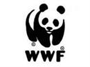 Mehr Mitglieder, aber weniger Spenden für den WWF: Umweltthemen verlieren an Attraktivität.