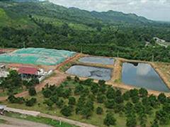 Im Abwassersystem wird Methan aus der Palmölproduktion gesammelt und für die Stromproduktion eingesetzt.