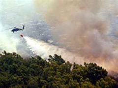 Grosse Waldflächen wurden ein Raub der Flammen. (Archivbild)