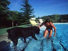 Alberto Tomba mit Hund Rommel im Swimming-Pool.