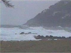 Der Sturm fegte mit bis zu 110 Kilometern pro Stunde über Mallorca. (Archivbild)