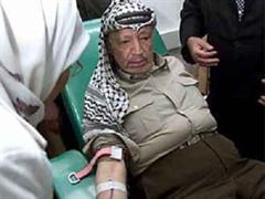 Jassir Arafat bei einer Blutuntersuchung in Ramallah am 29.10.2004.