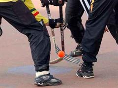 Veruntreuung bei der Swiss Streethockey Association (SSHA).