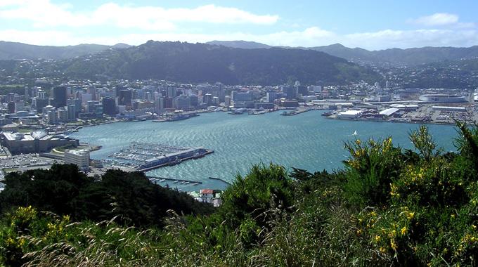 Auch in der neuseeländischen Hauptstadt Wellington bebte es.