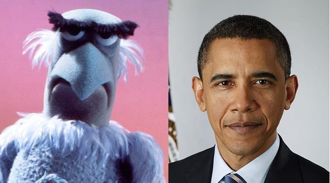 Überraschender Obama-Gegner: Sam der Adler tritt gegen den Präsidenten an.