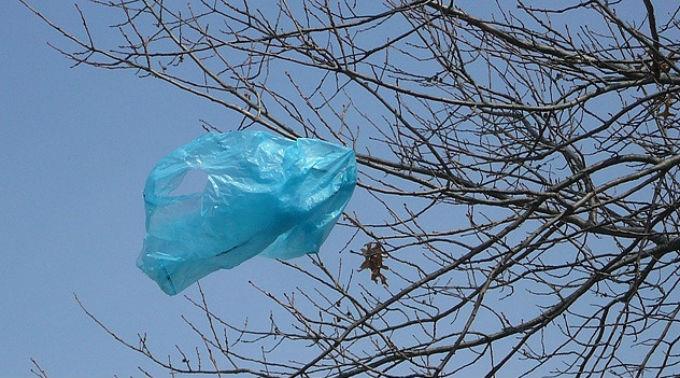 Kostenlose Plastiksäcke werden mehr und mehr zum Umweltproblem.