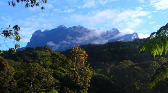 Die Leichen wurden vom höchsten Berg des Landes, dem Mount Kinabalu auf Borneo, in ein Basislager gebracht.