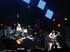Taubenschisse zwingen die US-Rockband Kings of Leon zu einem Konzertabbruch.